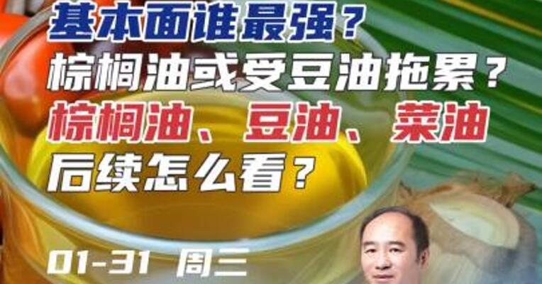 三大油中基本面谁最强？棕榈油或受豆油拖累？棕榈油、豆油、菜油后续怎么看？#期货 #理财 #农产品