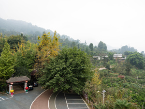 旅游板块春节效应显现，A股半日缩量再调整