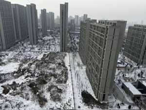 外地人在哈尔滨购房量同比大增94%，有楼盘“1月成交量环比增近40%”⋯⋯“小金豆”的置业热情还在持续