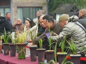 向世界展现公园城市之美 成都邛崃市打造龙门山生物多样性博览园