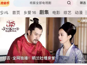  一部一个“金不换”？“知否们”能为平台“养老”多久