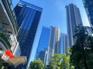 张奎任央行广东省分行行长，曾在浙江人行任职