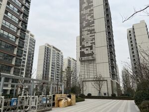 外立面铝板变金属漆、公共绿地变私人庭院？上海两楼盘遭投诉维权，市人大代表：政府应高度重视预看房投诉事件