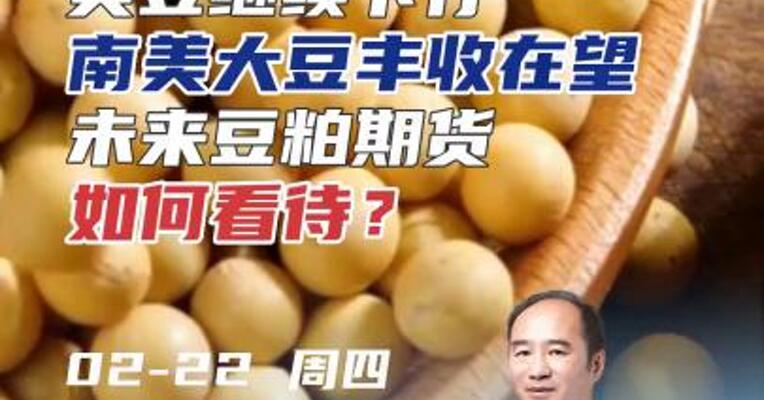 美豆继续下行，南美大豆丰收在望，未来豆粕期货如何看待？#期货 #理财 #农业