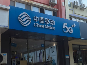 中国移动董事长杨杰：新一代信息技术深层次赋能各行各业时仍有“三个鸿沟”