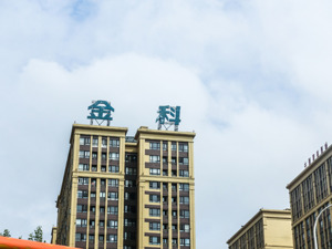 金科股份成首家主动申请重整千亿房企