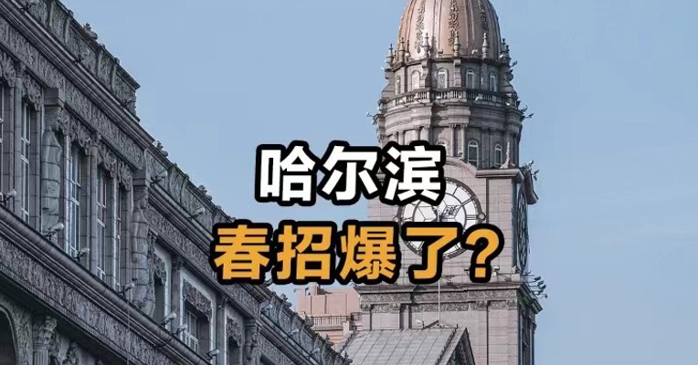 哈尔滨 春招爆了？