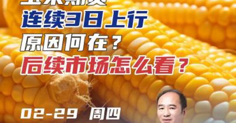 玉米期货连续3日上行，原因何在？后续市场怎么看？
