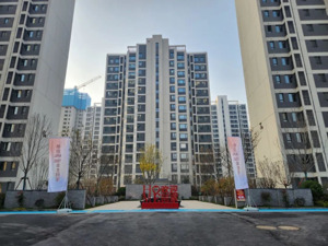 碧桂园杨惠妍：整个市场仍较冷，将积极争取政府和金融机构的支持