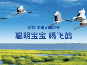 全国人大代表、飞鹤乳业董事长冷友斌：发展“功能标识食品” 厚植健康产业新质生产力