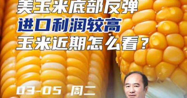美玉米底部反弹，进口利润较高，玉米近期怎么看？#期货 #理财 #农业