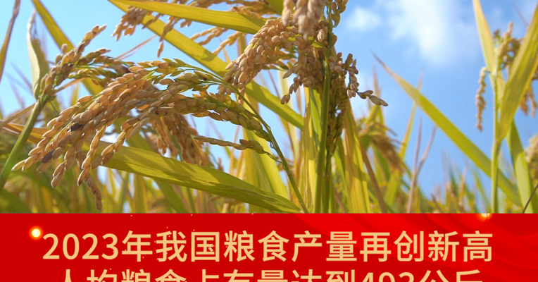 唐仁健：去年粮食产量再创新高 人均粮食占有量达到493公斤