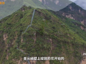 “小事”里的大情怀