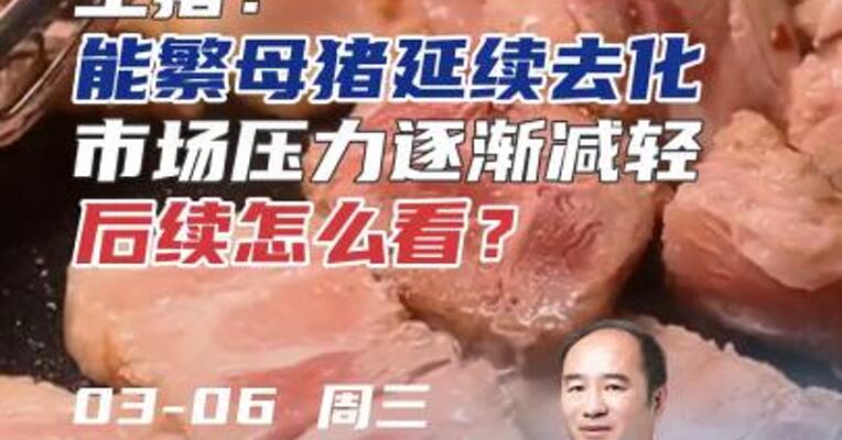 生猪：能繁母猪延续去化，市场压力逐渐减轻，后续怎么看？#期货 #猪肉 #农业