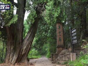 春天里的四川⑤巴蜀正青春 活力向未来
