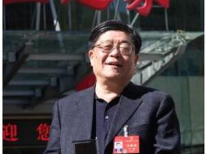 全国人大代表、金晶科技董事长王刚：推广应用BIPV技术产品，支持打造绿色能源产业链