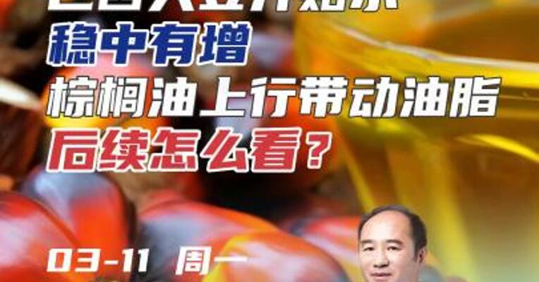 巴西大豆升贴水稳中有增棕榈油上行带动油脂后续怎么看？#期货 #农业 #天气