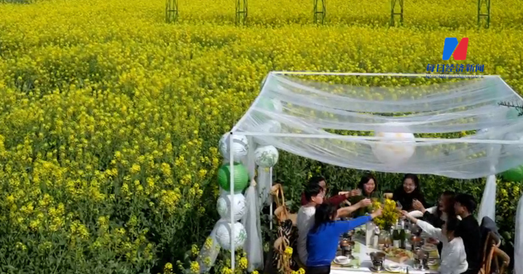 二月二，龙抬头！成都迎来好天气，踏青赏花正当时！