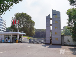 世龙实业信披违规恐被罚280万元 公司董事长同日收警示函