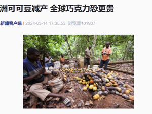 影响全球！巧克力怕是要涨价了！