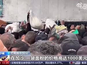 白宫称哈马斯三号人物被杀！以军再袭希法医院，谭德塞发声！加沙一袋面粉价格高达1000美元