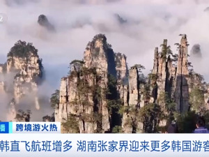 热搜！这里山上“长满”韩国人！多家航司宣布：扩增航班