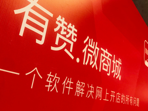 中国有赞2023收入同比降3.2%但首次经营性盈利，拥抱AGI后SaaS该如何“改命”？