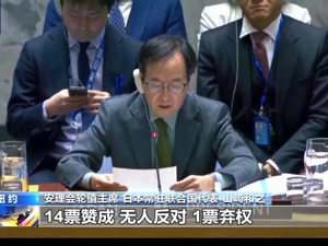 立即停火！安理会通过决议，中方：必须得到落实！欧盟、古特雷斯、哈马斯发声，以防长强硬表态
