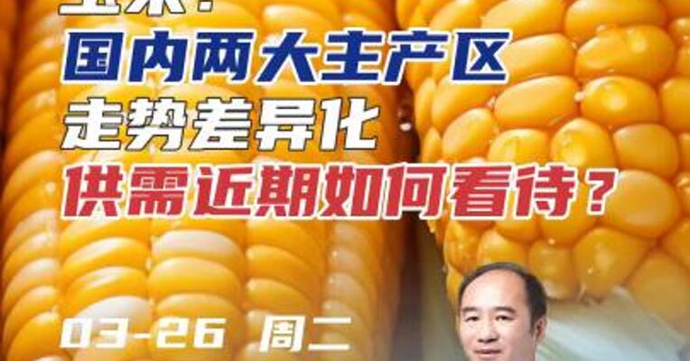 玉米：国内两大主产区走势差异化供需近期如何看待？#期货 #农业 #理财