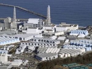 日本海岸现大量死鱼，绵延7公里！与核污染水有关？清华大学模拟结果：核污染水下月到达中国沿海