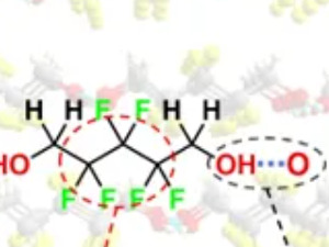 里程碑式重大突破！中国科学家最新发现
