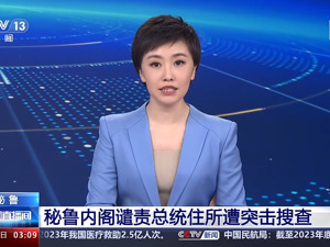 总统住所遭突击搜查，这国内阁发声：谴责！