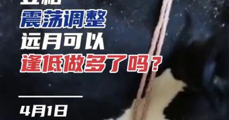 豆粕震荡调整，远月可以逢低做多了吗？#期货 #理财 #农业