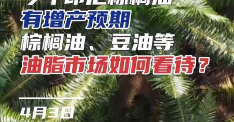 今年印尼棕榈油有增产预期棕榈油、豆油等油脂市场如何看待？#天气炒作 #期货 #投资