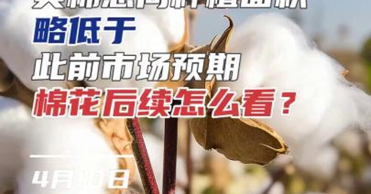 美棉意向种植面积 略低于此前市场预期，棉花后续怎么看？#农业 #期货 #投资