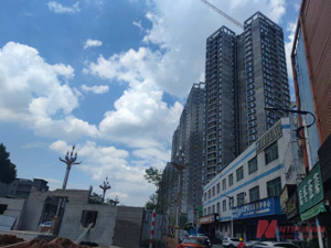 探寻楼市“小阳春” | 成交量仍处低位！东莞楼市“以价换量”成常态 业内：顶多算“弱阳春”