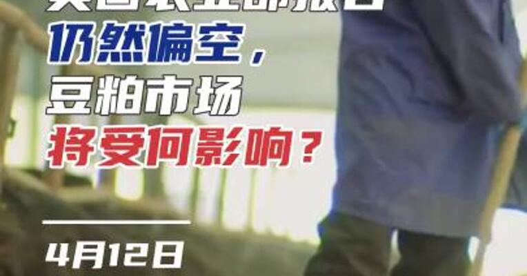 美国农业部报告仍然偏空，豆粕市场将受何影响？#期货 #拉尼娜 #炒作
