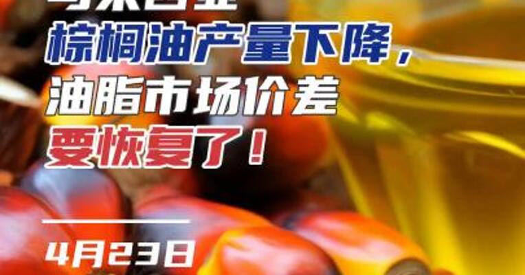 马来西亚棕榈油产量下降，油脂市场价差要恢复了！#期货 #理财 #油脂