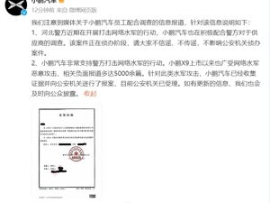 理想MEGA遭恶意攻击，小鹏一中层正配合调查！小鹏回应：我们也受到了攻击，已报警
