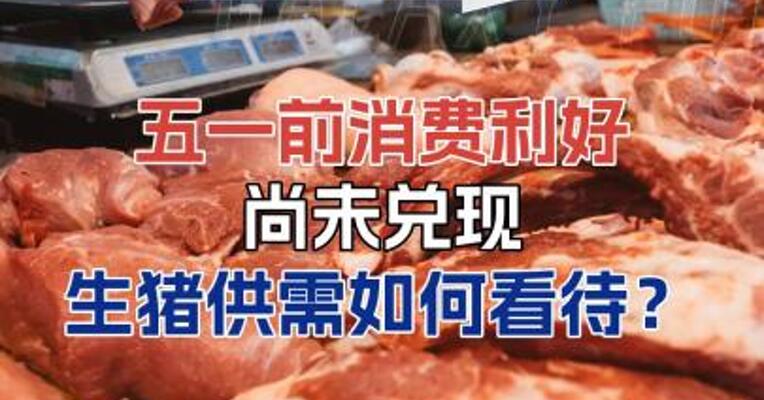 “五一”前消费利好尚未兑现，生猪供需如何看待？#期货 #农业 #理财