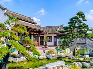 赏川派盆景千年诗韵 2024成都世园会温江分会场开园