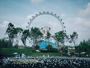 成都东部新区：四年蜕变，绘就生态与产业共荣的未来城市蓝图