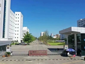 加快发展新质生产力 成都经开区（龙泉驿区）持续发力壮大新兴产业