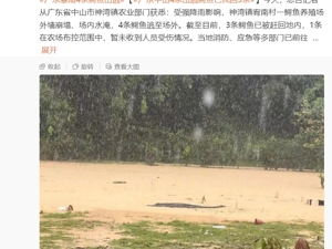 暴雨突袭广东！珠海：红色预警，非必要不出门！中山有4条鳄鱼出逃，已找回3条