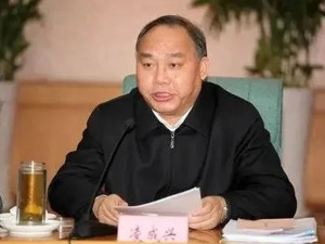 凌成兴，被逮捕！