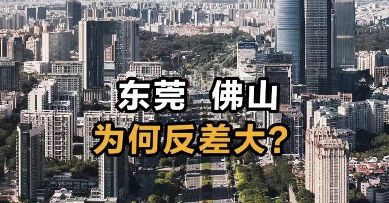 东莞  佛山 为何反差大？