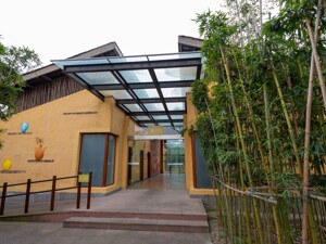 优化男女厕位比例 成都邛崃市解决景区上厕所痛点