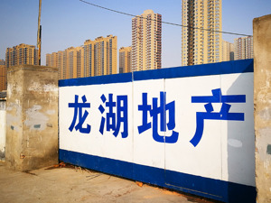 龙湖集团：能否持续创新是企业品牌活力关键所在
