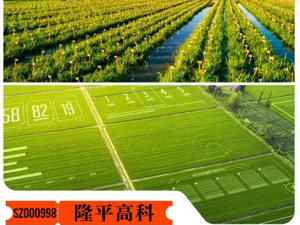 赋能乡村振兴上市公司在行动丨隆平高科：科技推动乡村振兴种业精进回报社会