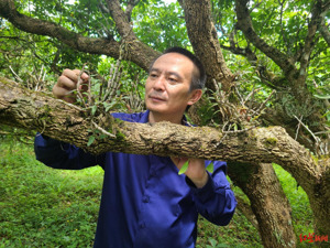 牵手“福”蓉· 科技助残丨飞上宇宙的四川石斛，让残疾农户收入翻十倍